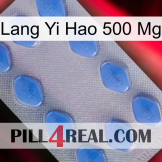 Lang Yi Hao 500 Mg 21